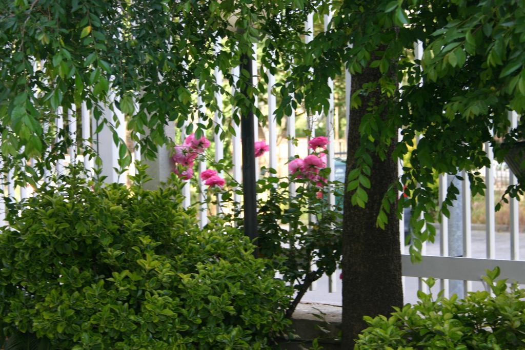 Hotel Hobbit Melito di Napoli Bagian luar foto